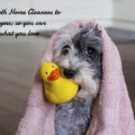 Clean Dog Rubber Ducky