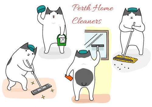 Four cartoon cats cleaning. One is holding a green bucket and a sponge, one is mopping, one is sweeping and one is cleaning a window. The words Perth Home Cleaners is in red.