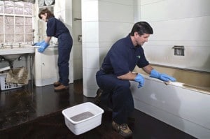 Emergency Cleaning Service