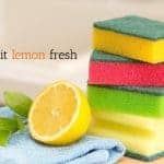 a cut lemon with a stack of sponges captioned keep it lemon fresh