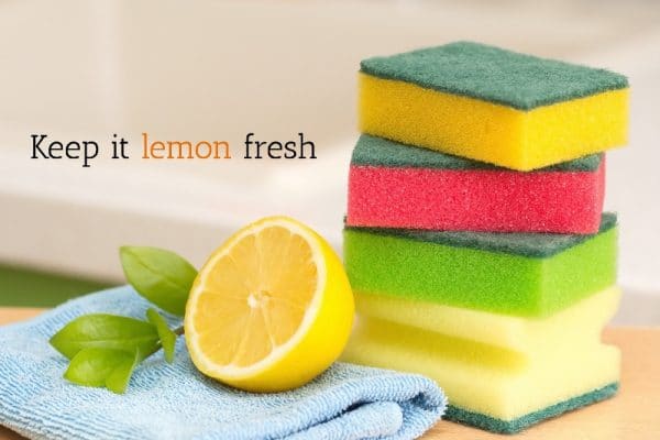 a cut lemon with a stack of sponges captioned keep it lemon fresh