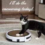 black and white cat with two paws on a circular robot vacuum on carpet saying I'll do the vacuuming today