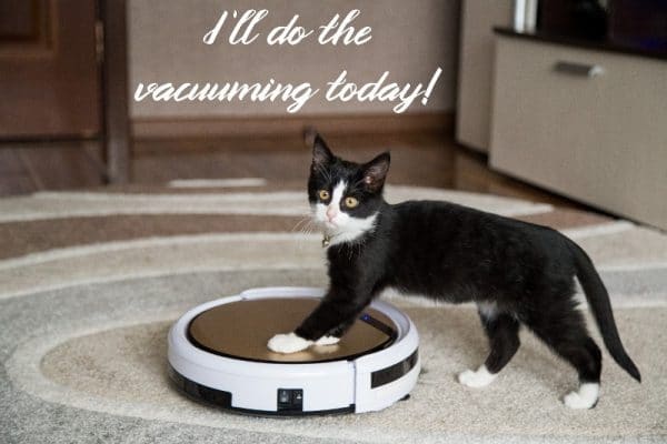 black and white cat with two paws on a circular robot vacuum on carpet saying I'll do the vacuuming today