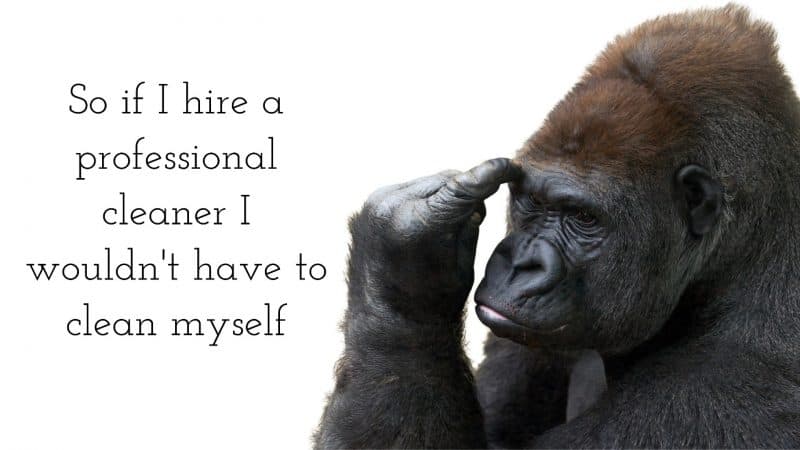 gorilla thinking so if I hire a professional cleaner I wouldn't have to clean myself
