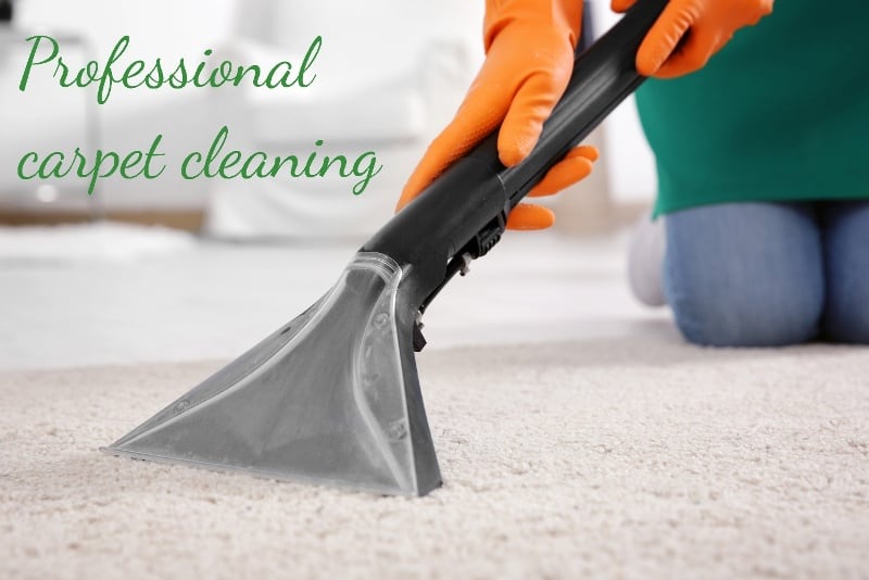 professional carpet cleaner cleaning with machine extender