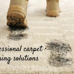 Professional Carpet Cleaning Solutions