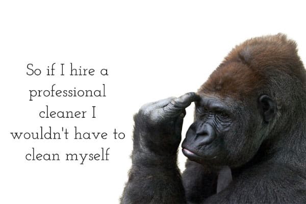 gorilla thinking so if I hire a professional cleaner I wouldn't have to clean myself