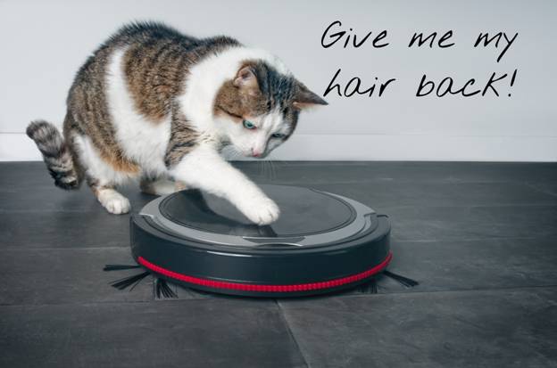 a cat pawing a roomba saying give me my hair back