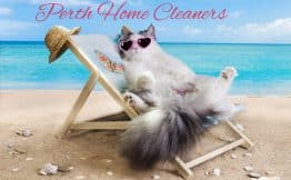 a cat relaxing on a beach chair at the beach with pink heart sunglasses