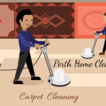 Perth Window Cleaners