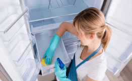 fridge cleaning