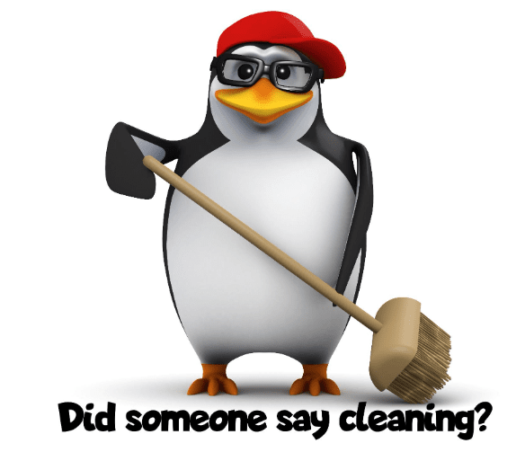 professional home cleaning