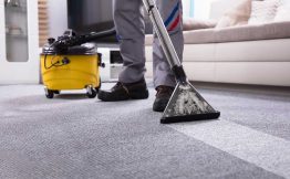 10 Questions To Guide Business Owners When They Are Hiring A Professional Carpet Cleaning Company