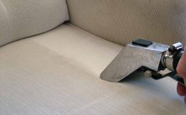 Health Risks Of Mould And Mildew On Upholstery And How You Can Remove Them Effectively