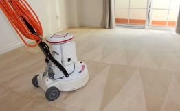 Why Carpet Cleaning Is Important For A Germ-Free House?